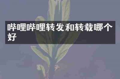 哔哩哔哩转发和转载哪个好