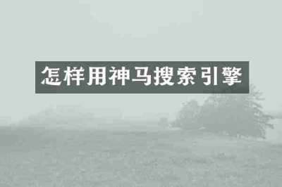 怎样用神马搜索引擎