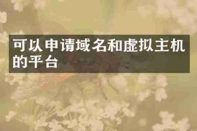 可以申请域名和虚拟主机的平台