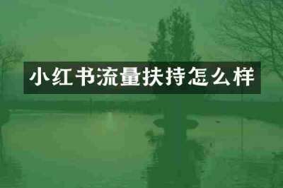 小红书流量扶持怎么样