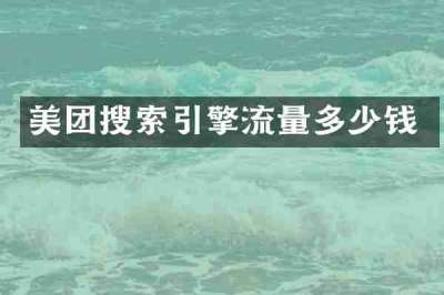 美团搜索引擎流量多少钱