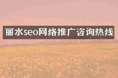 丽水seo网络推广咨询热线