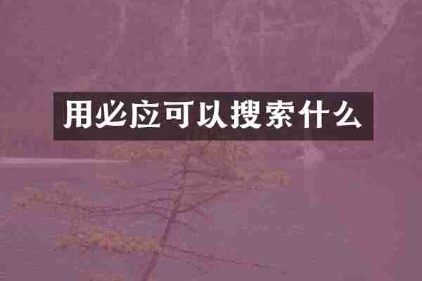 用必应可以搜索什么