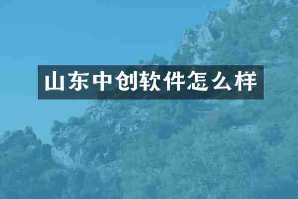 山东中创软件怎么样