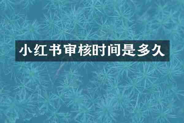 小红书审核时间是多久