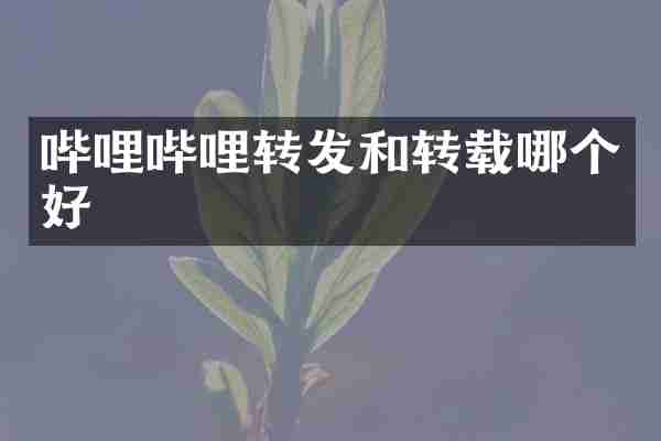 哔哩哔哩转发和转载哪个好