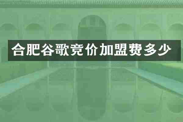 合肥谷歌竞价加盟费多少