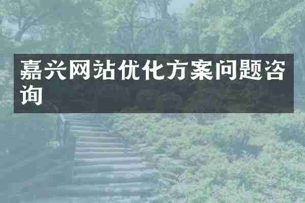嘉兴网站优化方案问题咨询