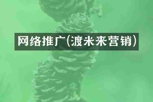 网络推广(渡米来营销)