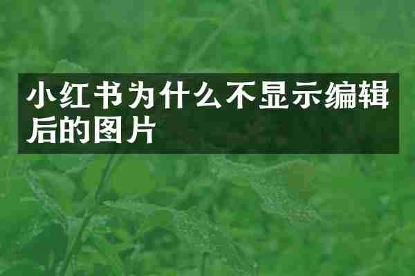 小红书为什么不显示编辑后的图片