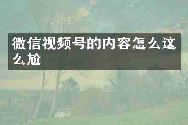 微信视频号的内容怎么这么尬