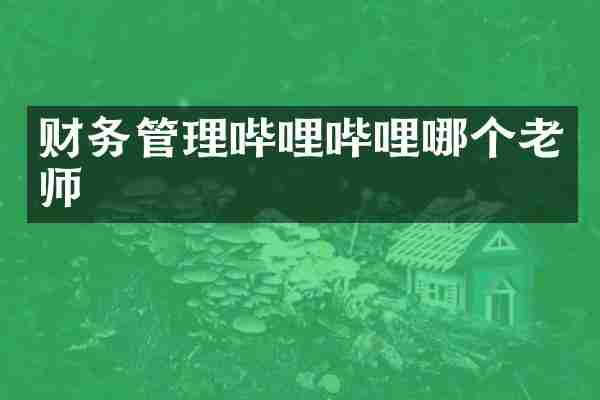 财务管理哔哩哔哩哪个老师