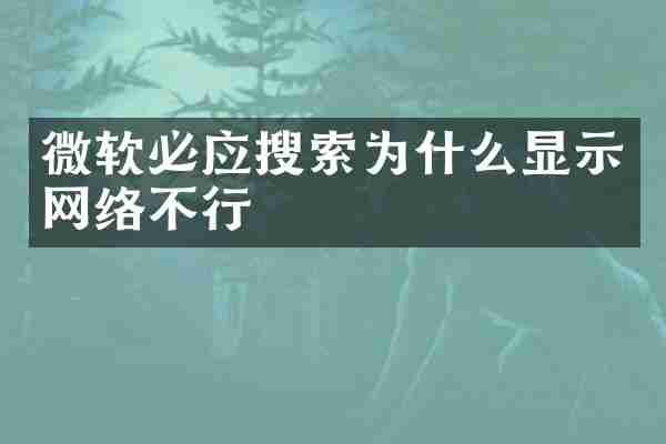 微软必应搜索为什么显示网络不行