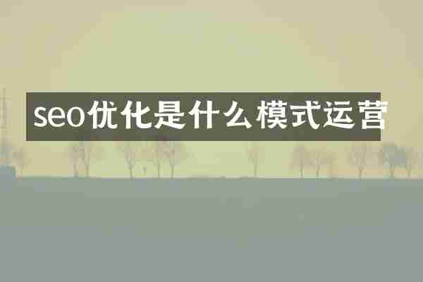 seo优化是什么模式运营