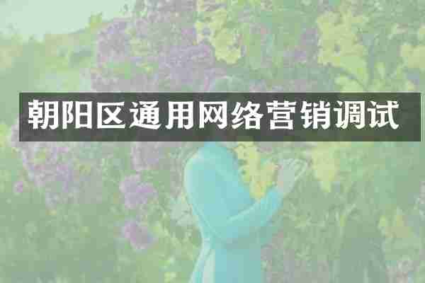 朝阳区通用网络营销调试