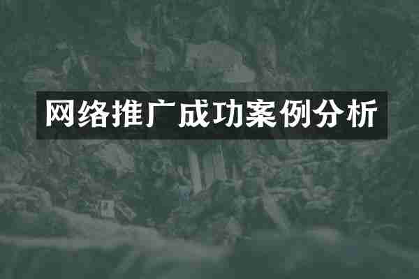 网络推广成功案例分析