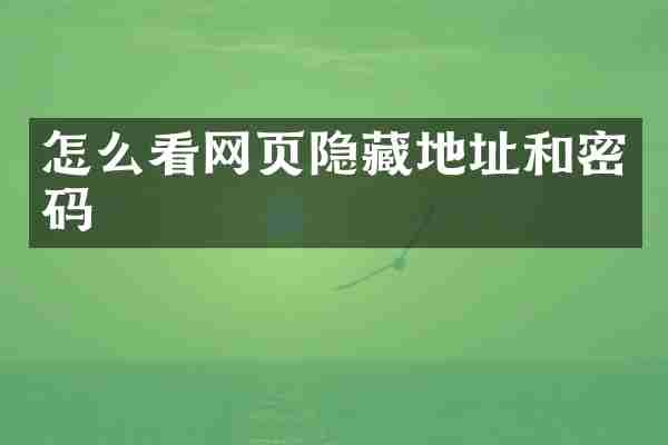 怎么看网页隐藏地址和密码