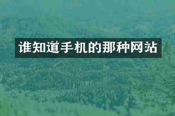 谁知道手机的那种网站