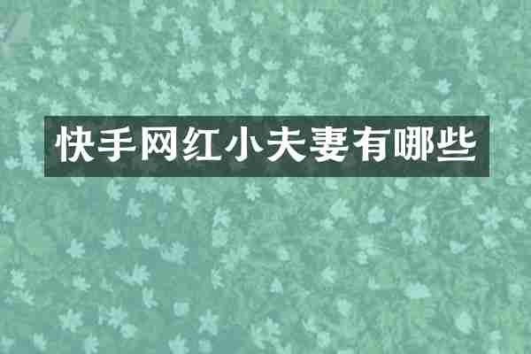 快手网红小夫妻有哪些
