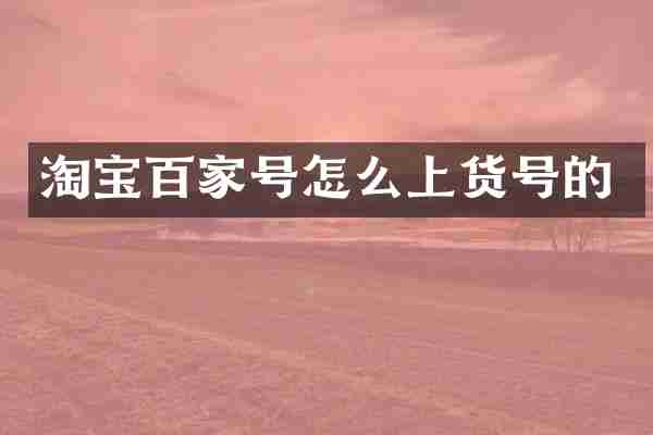 淘宝百家号怎么上货号的