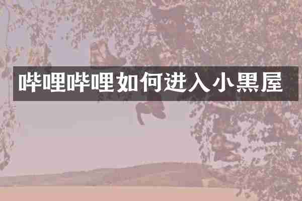 哔哩哔哩如何进入小黑屋
