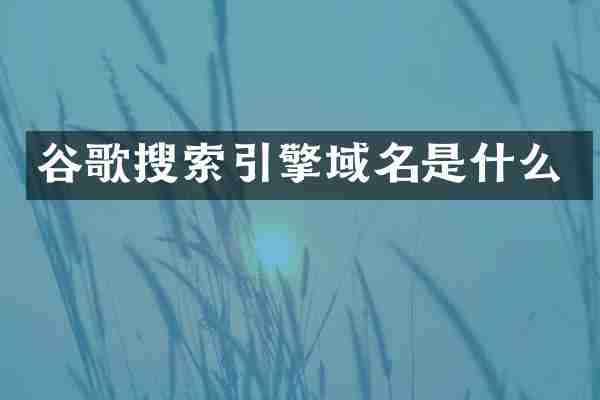 谷歌搜索引擎域名是什么