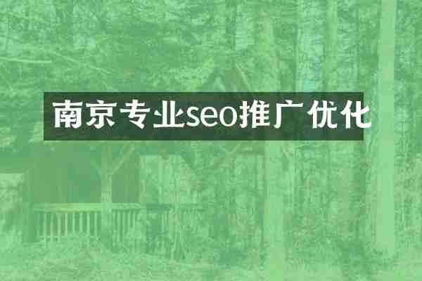南京专业seo推广优化