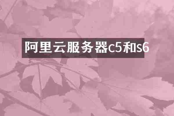 阿里云服务器c5和s6
