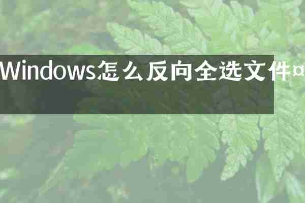 Windows怎么反向全选文件夹