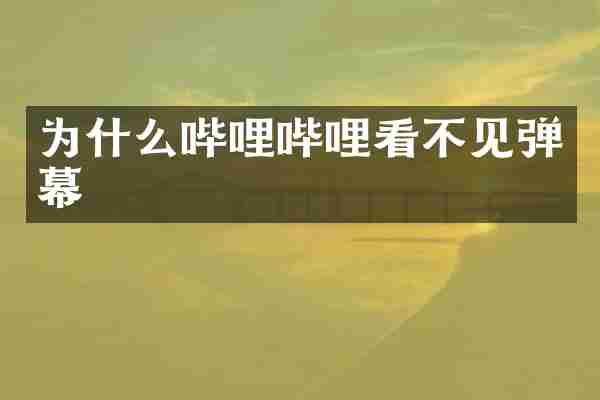 为什么哔哩哔哩看不见弹幕