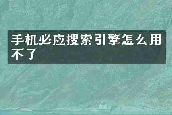 手机必应搜索引擎怎么用不了