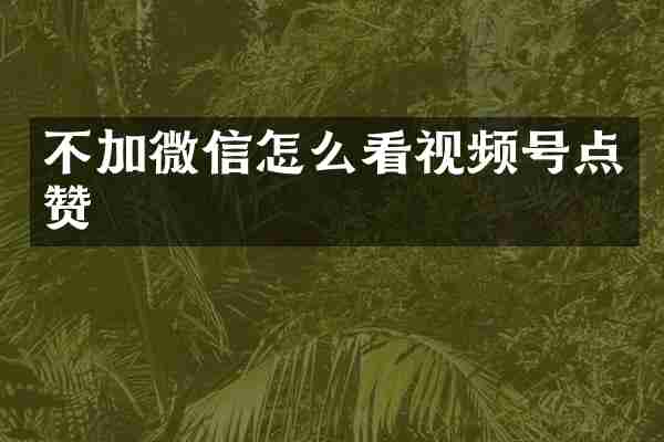 不加微信怎么看视频号点赞