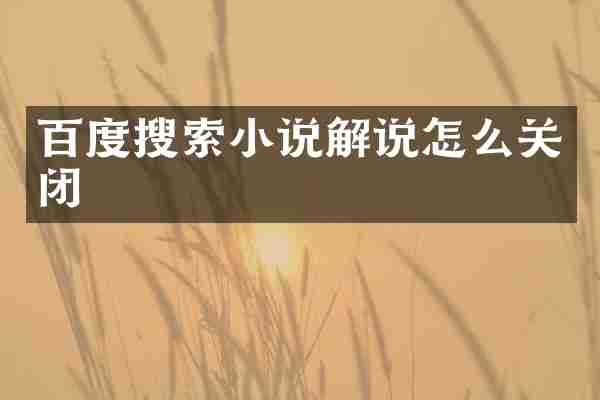 百度搜索小说解说怎么关闭