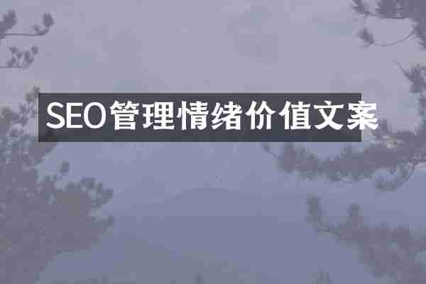 SEO管理情绪价值文案