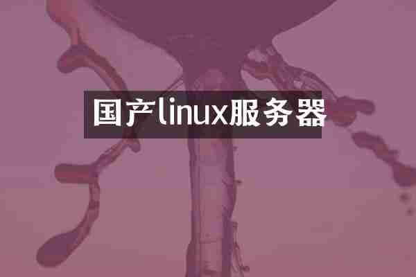 国产linux服务器