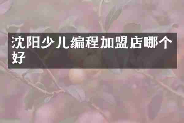 沈阳少儿编程加盟店哪个好