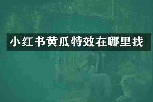 小红书黄瓜特效在哪里找