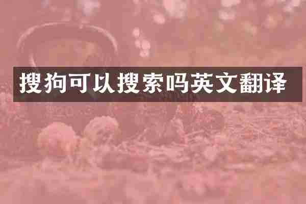 搜狗可以搜索吗英文翻译