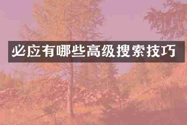 必应有哪些高级搜索技巧
