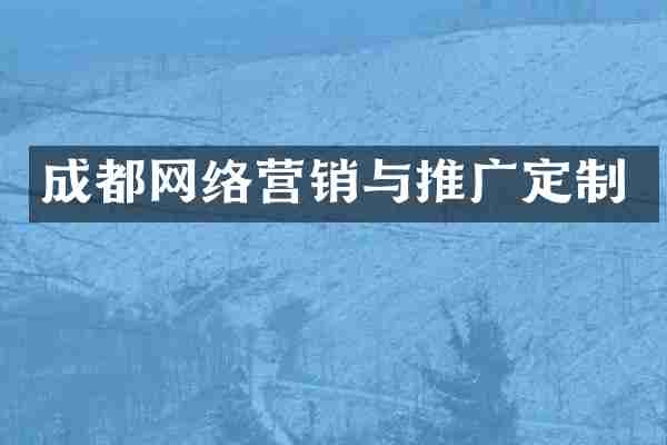 成都网络营销与推广定制