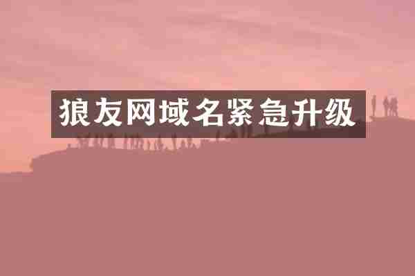 网域名紧急升级