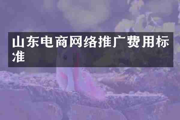 山东电商网络推广费用标准