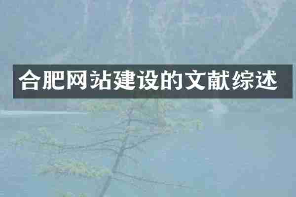 合肥网站建设的文献综述