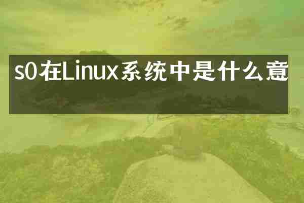 s0在Linux系统中是什么意思