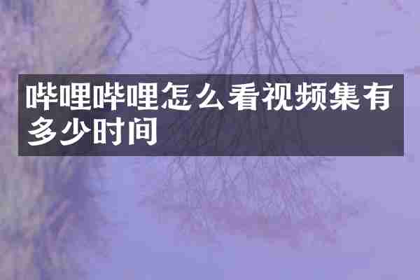 哔哩哔哩怎么看视频集有多少时间