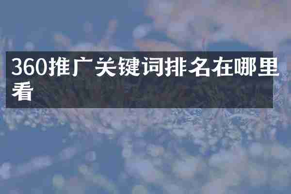 360推广关键词排名在哪里看
