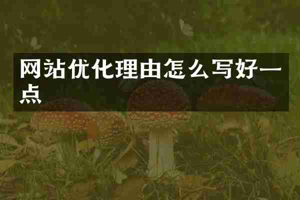 网站优化理由怎么写好一点