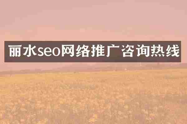丽水seo网络推广咨询热线