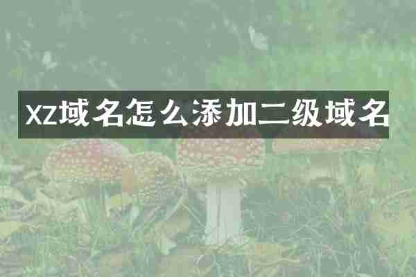 xz域名怎么添加二级域名