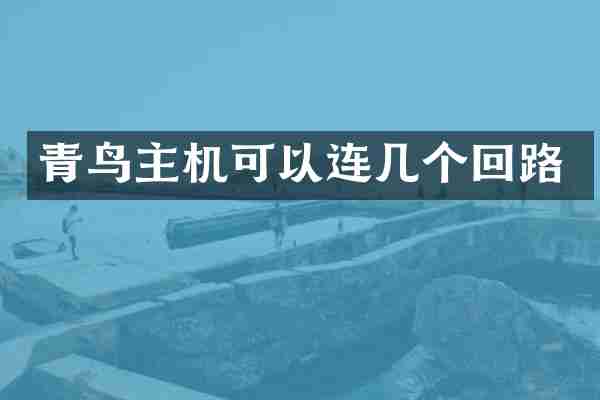 青鸟主机可以连几个回路